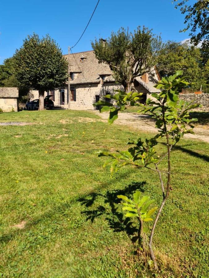 Maison typique Auvergnate, piscine et four à pain Saint-Christophe-Les-Gorges Extérieur photo