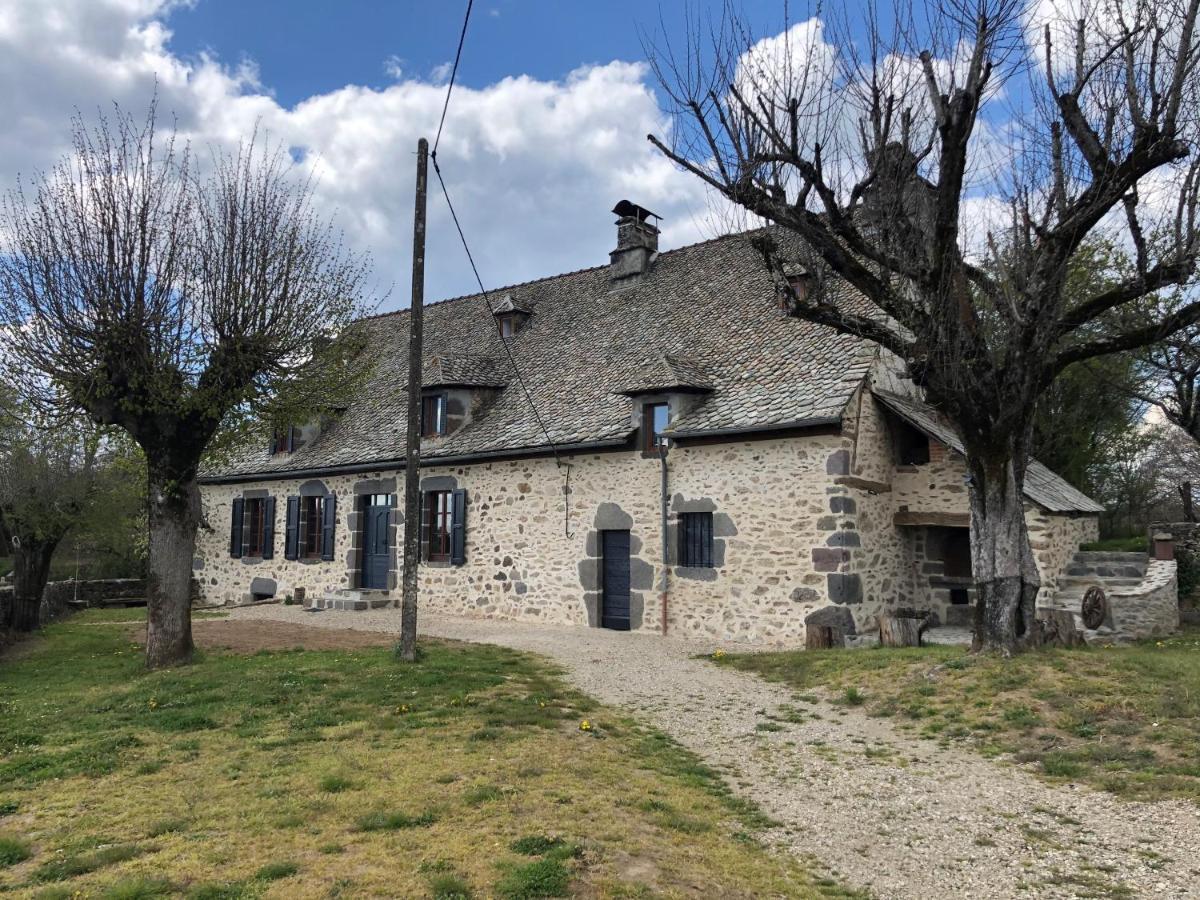 Maison typique Auvergnate, piscine et four à pain Saint-Christophe-Les-Gorges Extérieur photo