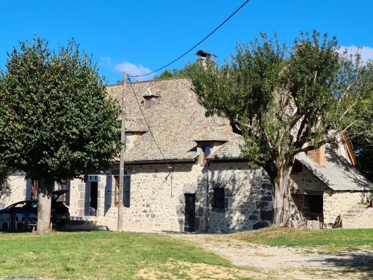 Maison typique Auvergnate, piscine et four à pain Saint-Christophe-Les-Gorges Extérieur photo